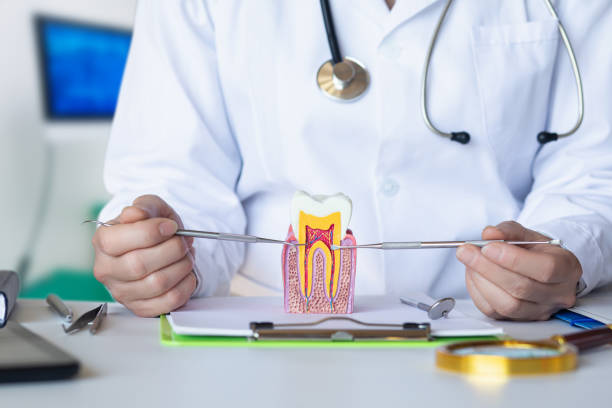 Best Emergency Gum Pain Relief  in Lexington, KY